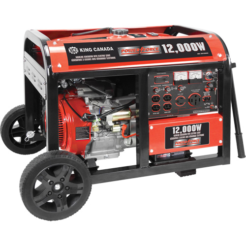 Electric Start Gas Generator with Wheel Kit, 12000 W Surge, 9000 W Rated, 120 V/240 V, 31 L Tank Sidevic Inc.