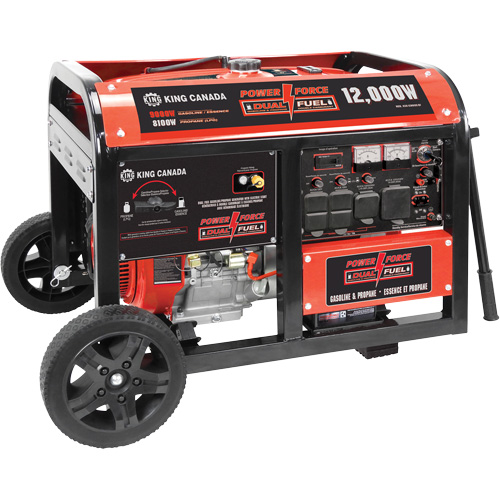 Gasoline/Propane Generator with Electric Start Sidevic Inc.