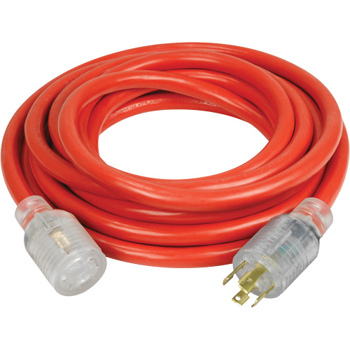 Generator Extension Cord with Quad Tap, Outdoor, 10 AWG, 30 A, 4 Outlet(s), 25' Sidevic Inc.