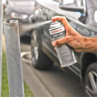 ZINC-100 Bright Galvanizing Spray, Aerosol Can Sidevic Inc.
