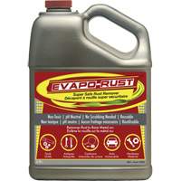 Agent antirouille super s&eacute;curitaire Evapo-Rust, Cruche Sidevic Inc.