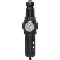 Filtre/r&eacute;gulateur Modulair 400 avec vidange manuelle, 3/4" NPT, 200 psi, Capacit&eacute; de 9,1 oz liq. Sidevic Inc.