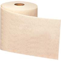 Ruban de nettoyage et de finition Scotch-Brite, Tr&egrave;s fin, Oxyde d'aluminium, 4" la x 30' lo Sidevic Inc.