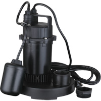 Thermoplastic Submersible Sump Pump, 2560 GPH, 115 V, 4.6 A, 1/3 HP Sidevic Inc.