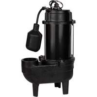 Cast Iron Sewage Pump, 120 V, 9.5 A, 6000 GPH, 1/2 HP Sidevic Inc.