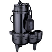 Cast Iron Sewage Pump, 120 V, 9.5 A, 6000 GPH, 1/2 HP Sidevic Inc.