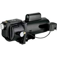 Dual Voltage Cast Iron Shallow Well Jet Pump, 115 V/230 V, 1260 GPH, 1 HP Sidevic Inc.