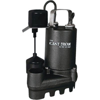 Cast Iron Submersible Sump Pump with Vertical Float Switch, 67 GPM, 33 V, 5 A, 1/3 HP Sidevic Inc.