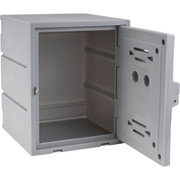 Locker, 15" x 15" x 18", Grey, Assembled Sidevic Inc.