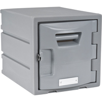 Locker, 12" x 15" x 12", Grey, Assembled Sidevic Inc.