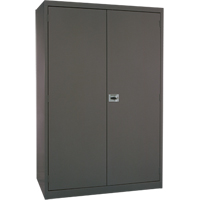 Armoires de rangement Hi-Boy profondes, Acier, 4 Tablettes, 72" h x 36" la x 24" P, Charbon Sidevic Inc.