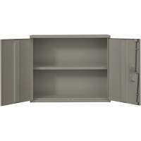Armoire murale, Acier, 2 Tablettes, 30" h x 36" la x 12" P, Gris Sidevic Inc.