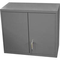 Armoire murale, 27" h x 13-11/16" la x 35-7/8" p, 2 tablettes, Acier, Gris Sidevic Inc.