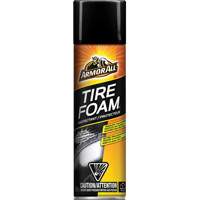 Tire Foam&reg; Protectant Sidevic Inc.