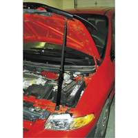 3-Piece Hood Prop Sidevic Inc.