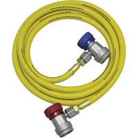 Ensemble flexible de rinçage pour syst&egrave;me de climatisation R134a Sidevic Inc.