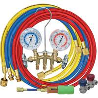 Manifold Gauge Set with Manual Couplers & Mini Dye Injector Sidevic Inc.