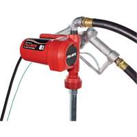 Pompe de transfert de carburant 12 V CC avec pistolet Sidevic Inc.