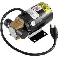 Low Profile Truck Drain with Electric Pump Sidevic Inc.