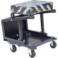 2-in-1 Seat-Stool Combo Sidevic Inc.