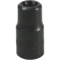 Douille Torx&reg; E-8 Sidevic Inc.
