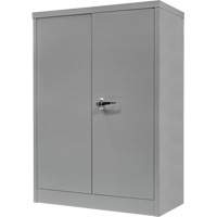 Armoire de rangement &agrave; hauteur de comptoir, Acier, 2 Tablettes, 42" h x 30" la x 15" P, Gris Sidevic Inc.