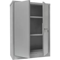 Armoire de rangement &agrave; hauteur de comptoir, Acier, 2 Tablettes, 42" h x 30" la x 15" P, Gris Sidevic Inc.