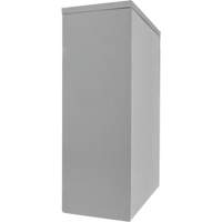 Armoire de rangement &agrave; hauteur de comptoir, Acier, 2 Tablettes, 42" h x 30" la x 15" P, Gris Sidevic Inc.