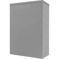 Armoire de rangement &agrave; hauteur de comptoir, Acier, 2 Tablettes, 42" h x 30" la x 15" P, Gris Sidevic Inc.