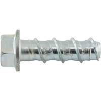 Wedge Bolts, Carbon Steel, 1/2" x 2" Sidevic Inc.