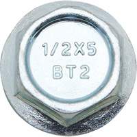 Wedge Bolts, Carbon Steel, 1/2" x 2" Sidevic Inc.