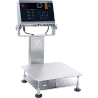 Balance d&eacute;tabli lavable 6000 Defender, Capacit&eacute; de 25 lb, 11-4/5" lo x 11-4/5" la Sidevic Inc.