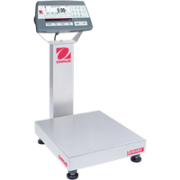Balance de table multifonctionnelle 5000 Defender, Capacit&eacute; de 25  lb, 14" lo x 12" la Sidevic Inc.