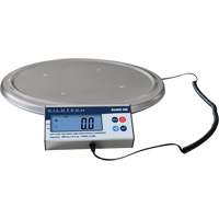 Scales