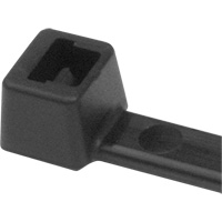 PA66 Cable Ties, 5-1/2" Long, 18 lbs. Tensile Strength, Black Sidevic Inc.