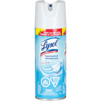 Disinfectant Spray, 350 g, Aerosol Can Sidevic Inc.