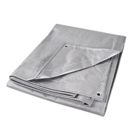 Tarp, Super Heavy-Duty, Silver, 10' x 8' x 12 mils Sidevic Inc.