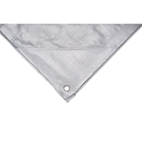 Tarp, Super Heavy-Duty, Silver, 10' x 8' x 12 mils Sidevic Inc.