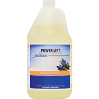 Power Lift Industrial Degreaser, 4 L, Jug Sidevic Inc.