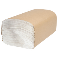 Everest Pro Singlefold Hand Towels, 1 Ply, 10-1/4" L x 9-1/4" W, 250 /Pack Sidevic Inc.