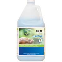 Polar Bathroom Cleaner, 4 L, Jug Sidevic Inc.