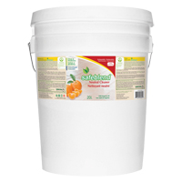 Nettoyant neutre, 20 L, Seau Sidevic Inc.