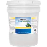 Dynamite Odourless Stripper & Degreaser, 20 L, Pail Sidevic Inc.