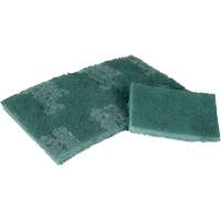Tampon de r&eacute;curage, 3" lo x 4-1/2" la Sidevic Inc.