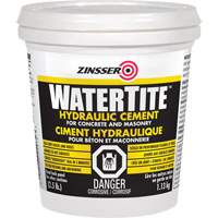 Watertite&reg; Hydraulic Cement Sidevic Inc.