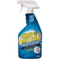 Mold and Mildew Spray, 650 ml, Trigger Bottle Sidevic Inc.