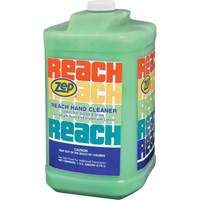 Reach Extra Heavy-Duty Hand Cleaner, Pumice, 3.78 L, Jug, Scented Sidevic Inc.