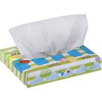 Papiers-mouchoirs pour enfants de Kleenex, 2 pli, 8,4" lo x 5,5" la, 40 feuilles/boîte Sidevic Inc.