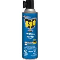 Insecticide contre les gu&ecirc;pes et les frelons Raid, 400 g, &agrave; base de solvant Sidevic Inc.