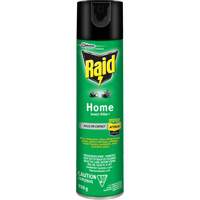 Insecticide pour insectes domestiques Raid, 350 g, &agrave; base de solvant Sidevic Inc.